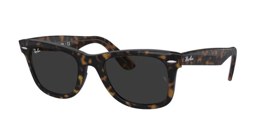 Atol ray ban homme on sale